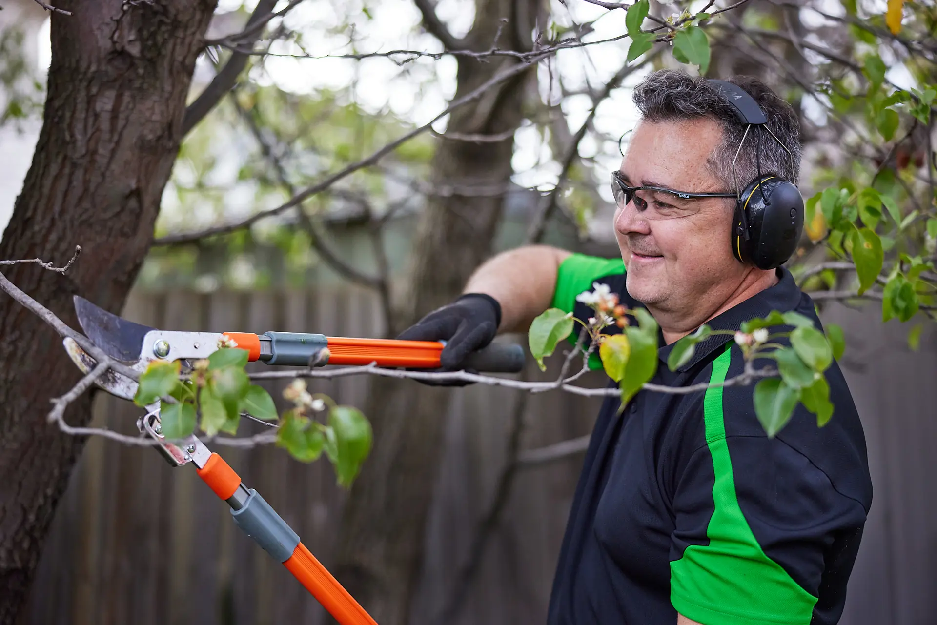 COMSTRA Mowing gardener pruning a fruit tree in a residential backyard in Laverton